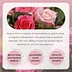 Rose Oil Pure Natural Essential Oil
